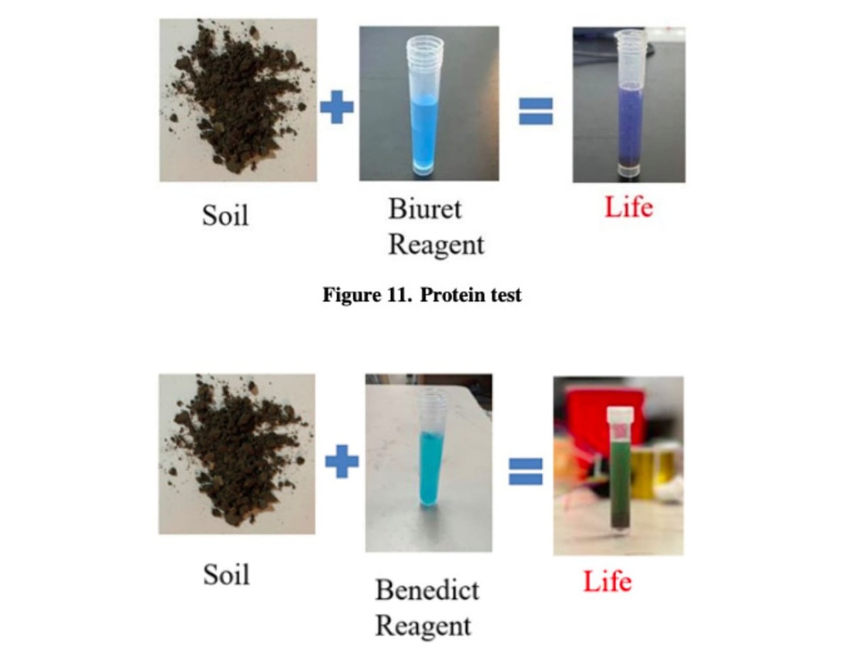    Примеры положительного результата теста на наличие жизни в образцах земной почвы