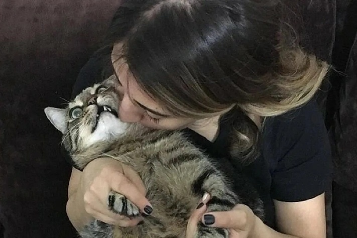 Фото в свободном доступе