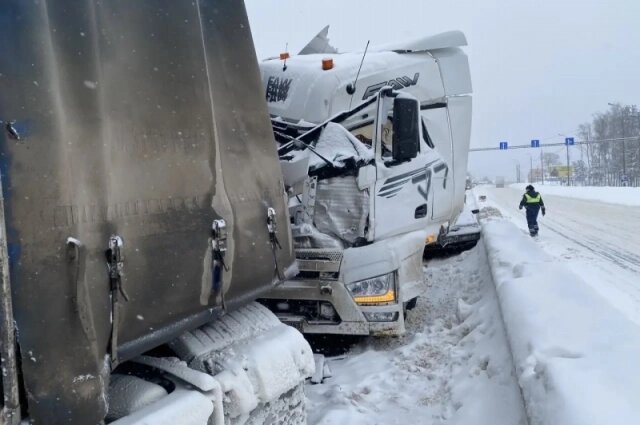    Фото: УМВД Владимирской области