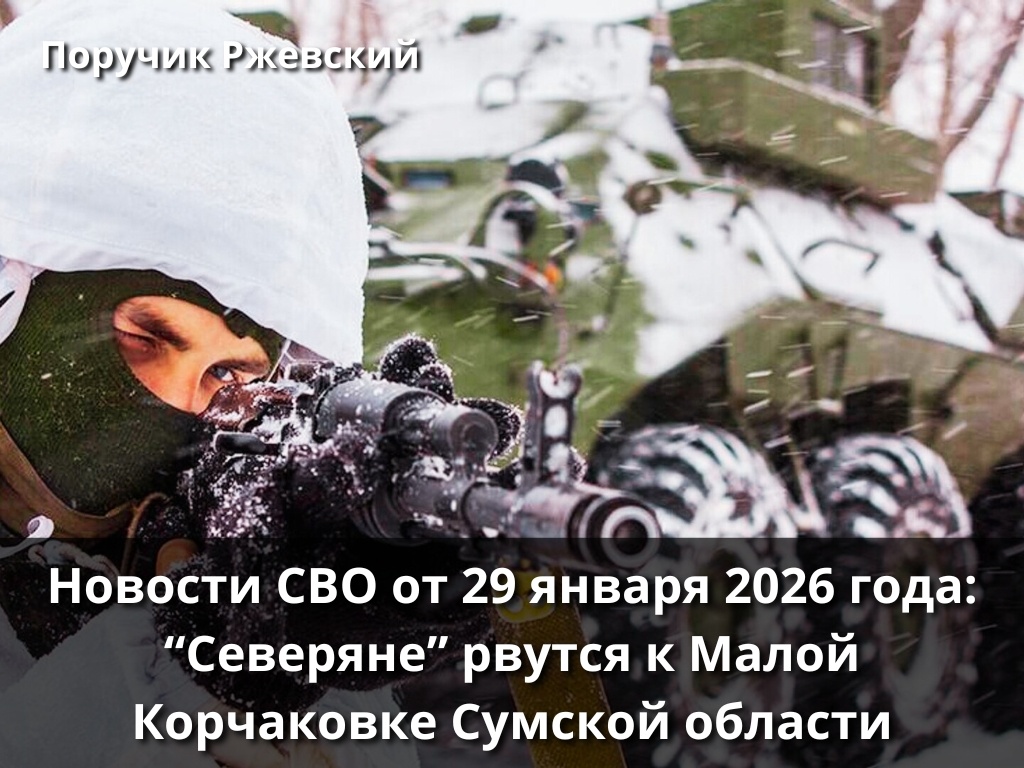 Фото: ukraina.ru