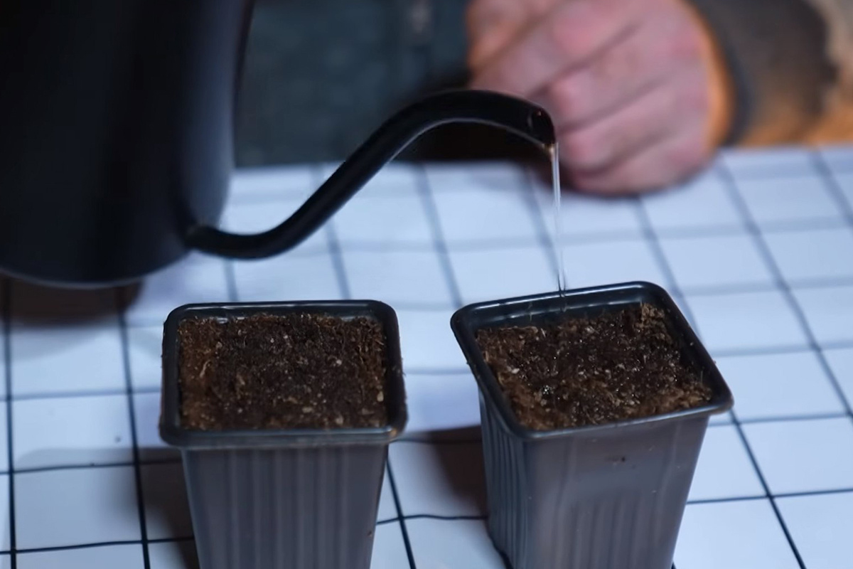 Скриншот видео