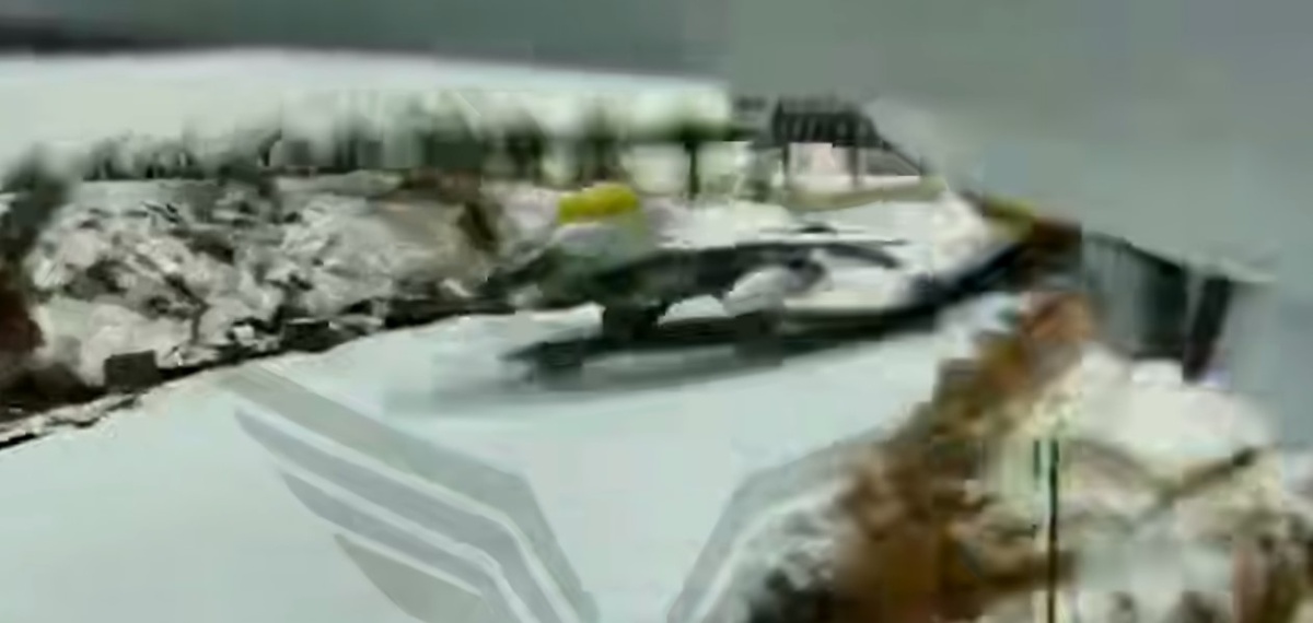 Фото: Рубикон