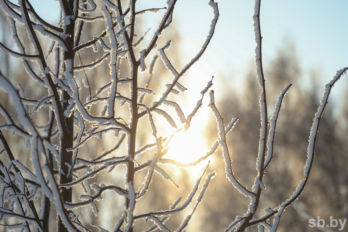 Иллюстративное фото из архива «СБ»