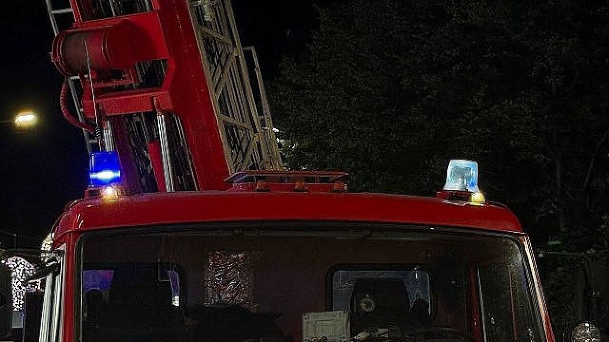    Фото: телеканал «Краснодар»