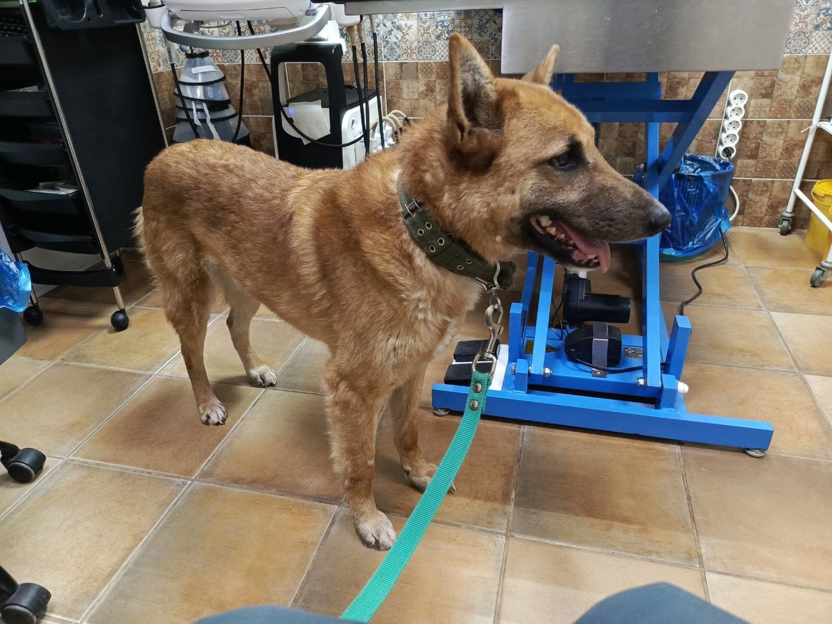 Славный парень 