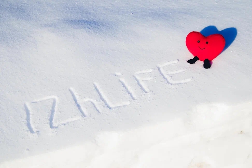    Стаи бездомных собак, сомнительность высшего образования и исчезновение деревьев в городе: что обсуждают ижевчане в соцсетях 29 февраля