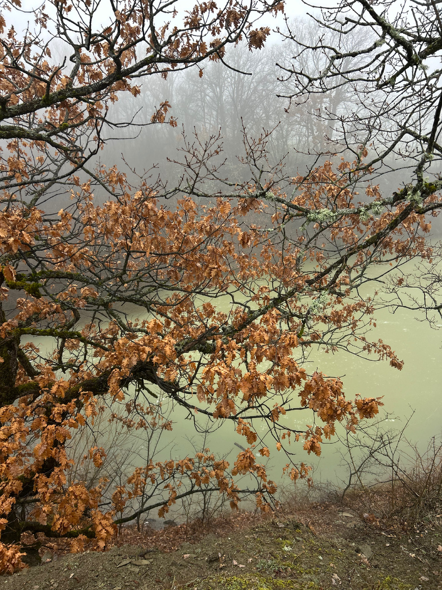 У озера в Богатыре 