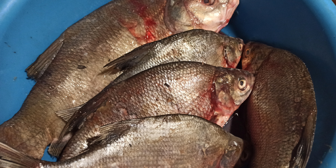 Нам отдали 5 лещей# вот что я из них готовлю!!!