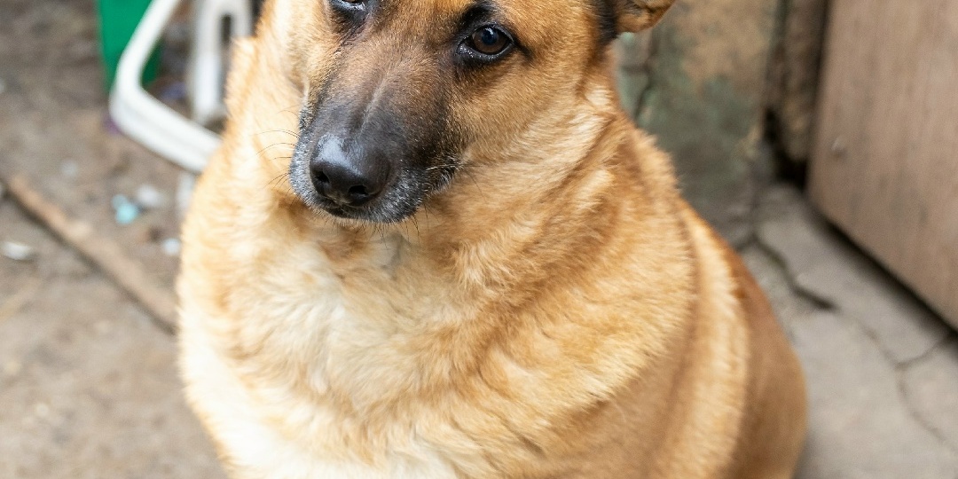 Неужели это конец для них?.. 💔