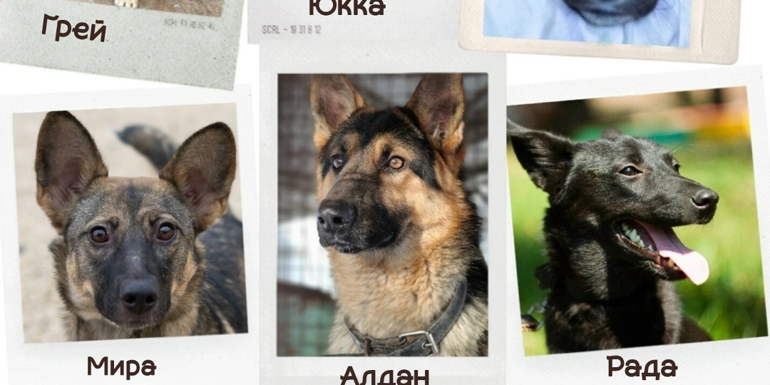 Неужели это конец для них?.. 💔