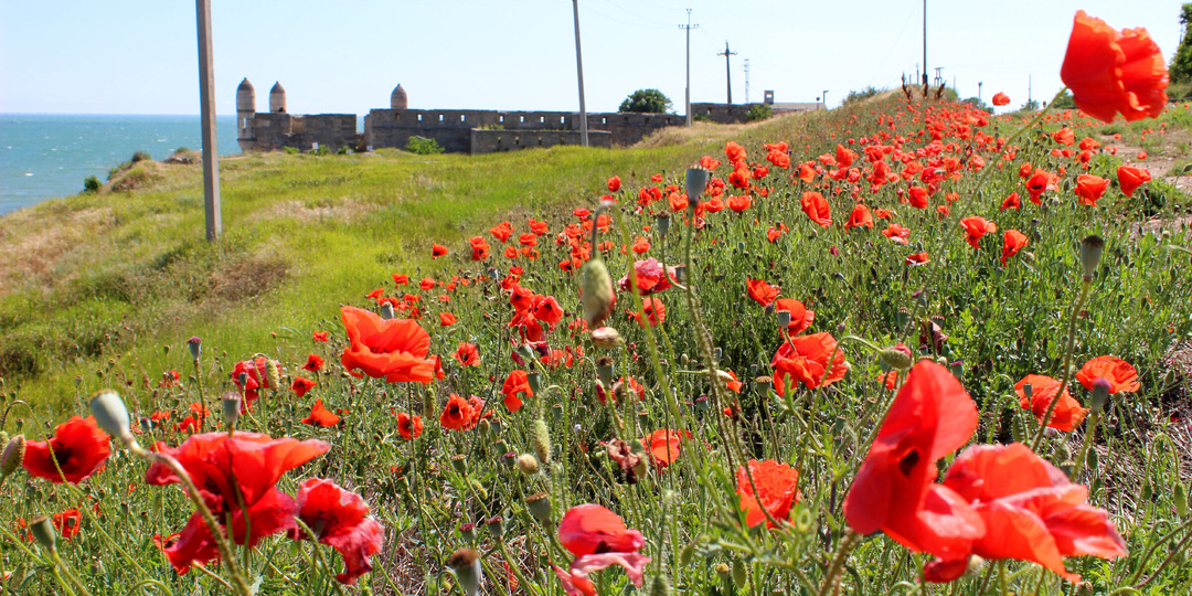 Вы слышите «Путешествия по югу России». Какие первые ассоциации?