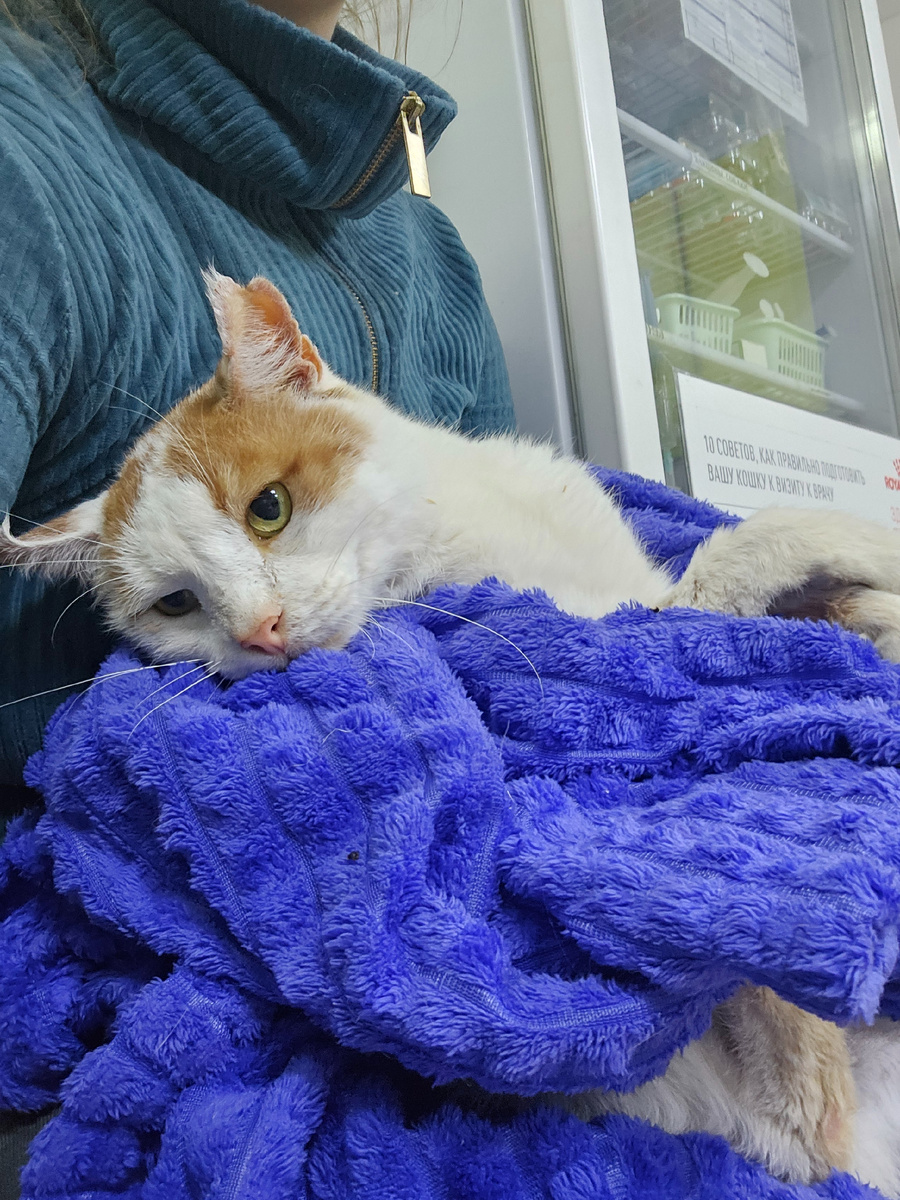 Фото автора. Боинг оооооочень хочет жить.