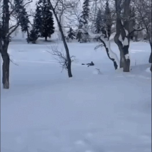 Кадры из видео