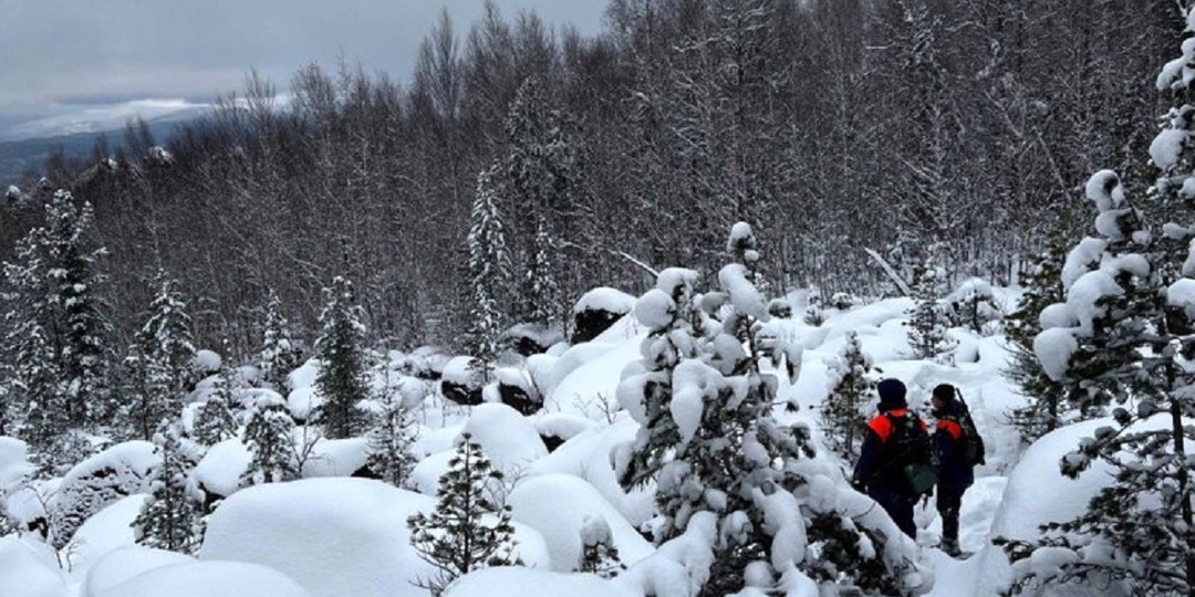 Четыре месяца — никаких следов. Что известно об исчезновении Усольцевых?