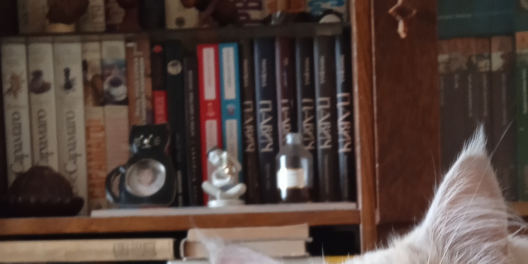 Книги, купленные в январе (2026). Часть вторая , дополнительная.