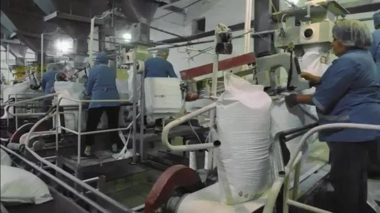    Фото: Пресс-служба Минсельхоза Республики Башкортостан