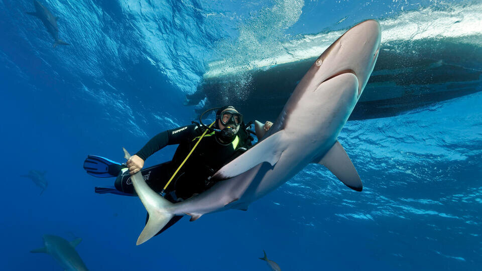 ФОТО: www.globallookpress.com/Norbert Probst