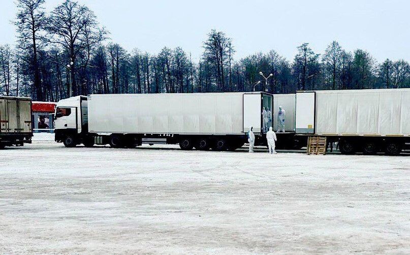     / Источник: © Telegram-канал Владимира Зеленского