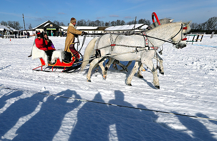    Владимир Смирнов/ТАСС
