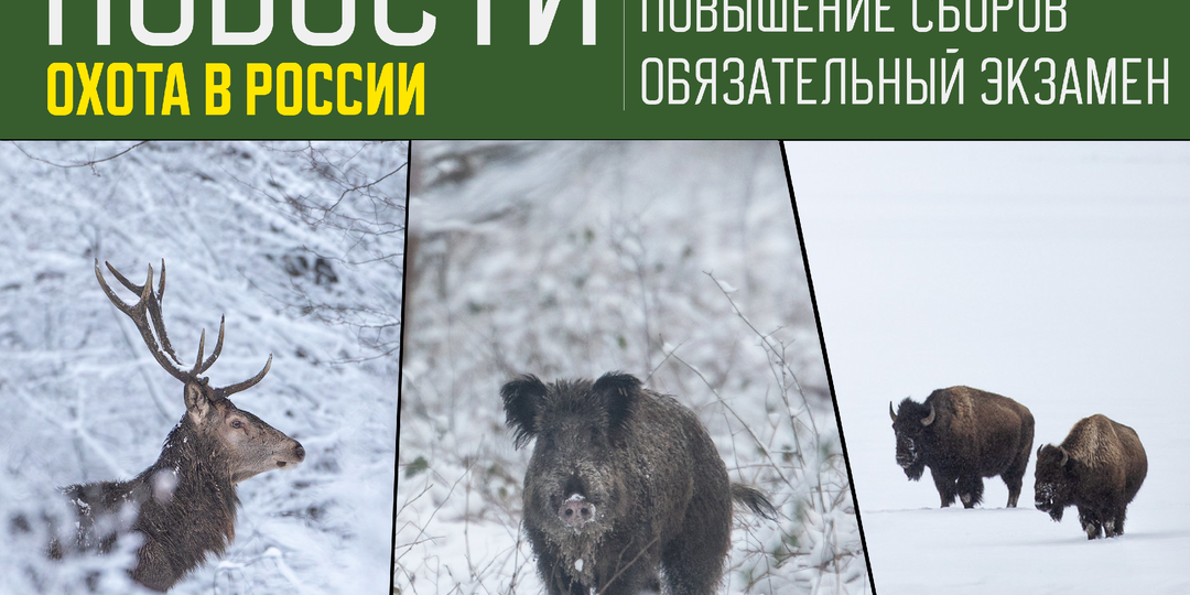 Как начался 2026 год для охотников?