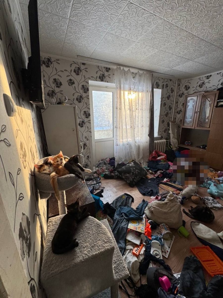 Источник: фото из телеграмм-канала ЧП124