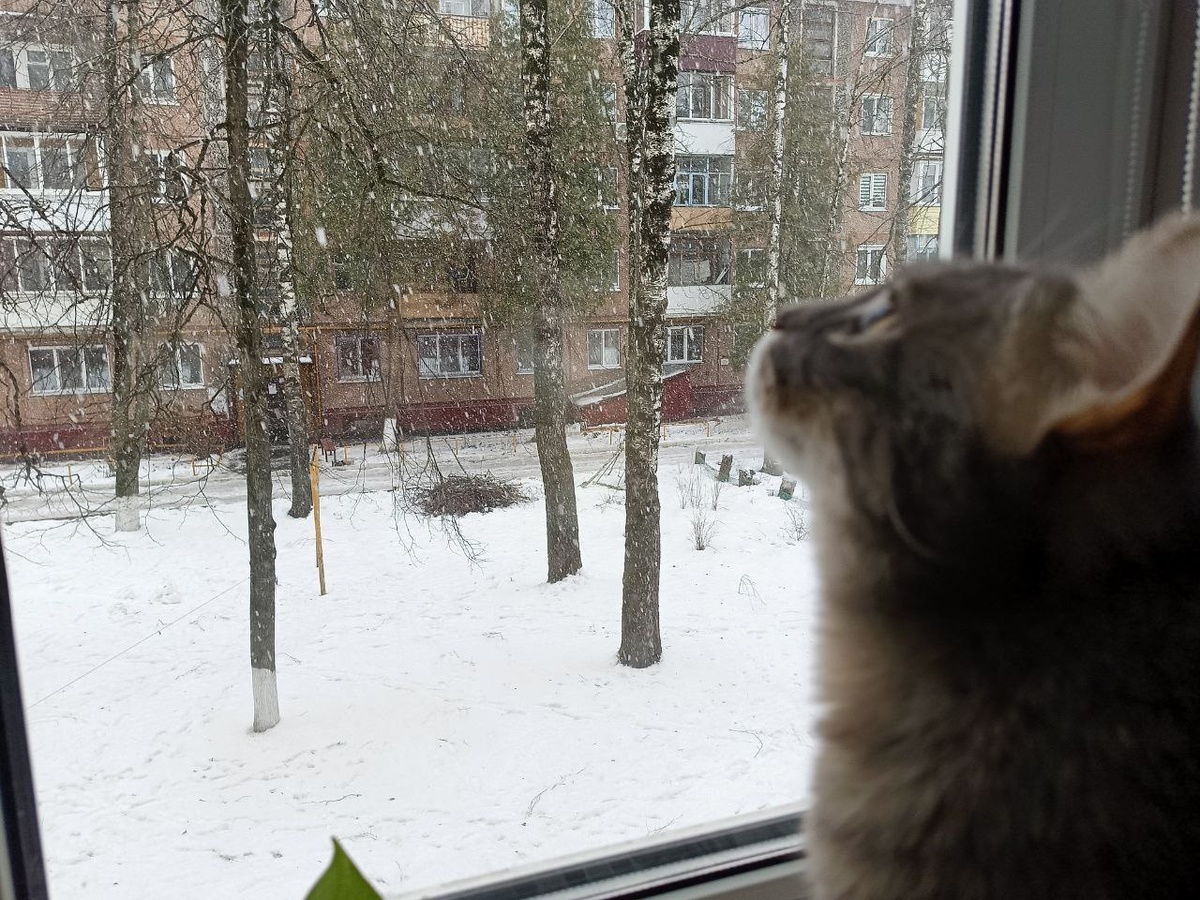 Личная фотография