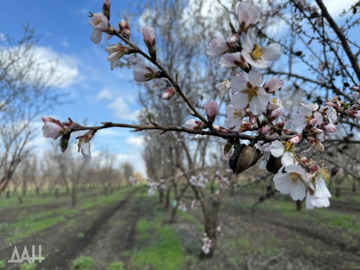    Фото: Донецкое агентство новостей