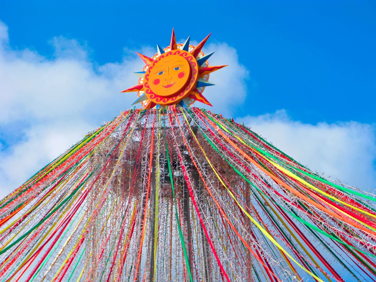 © olgalngs/ shutterstock