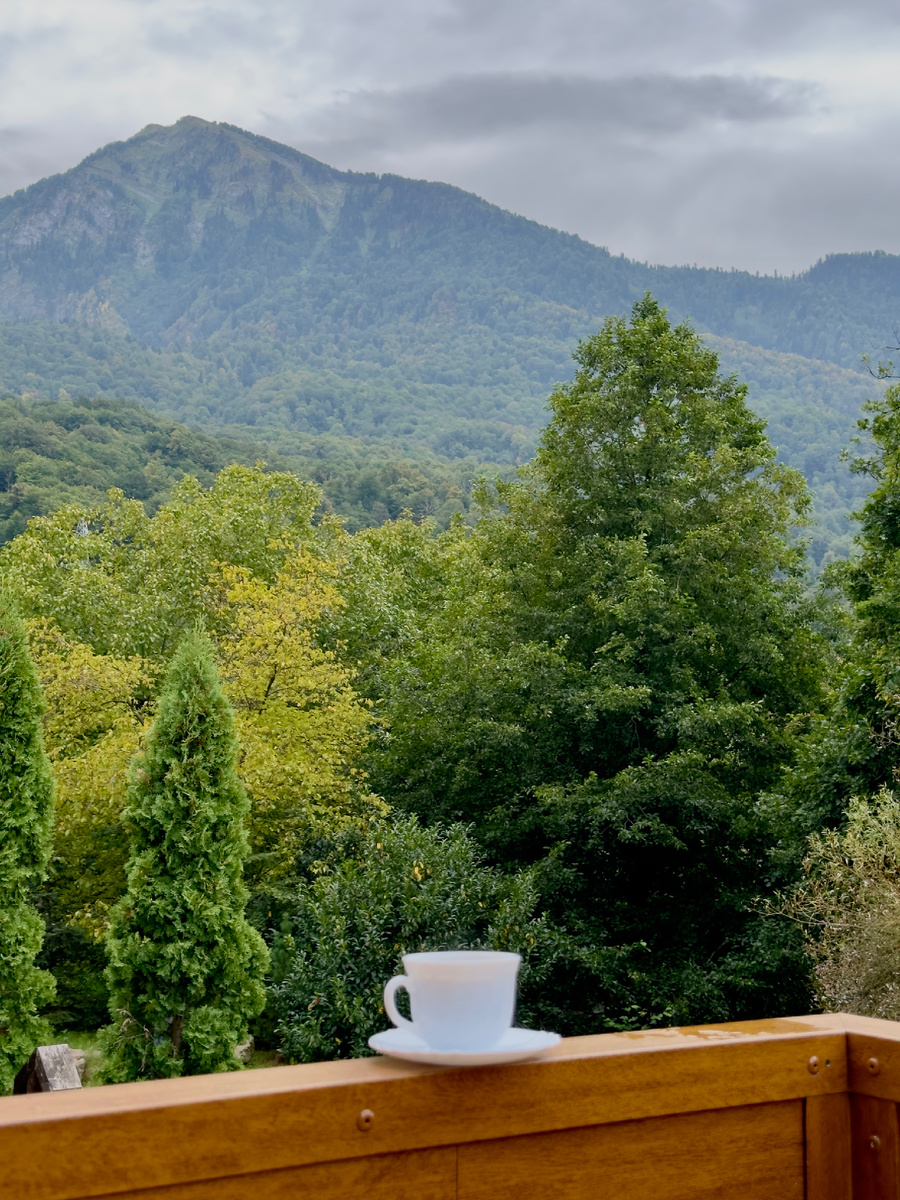 Красная Поляна.