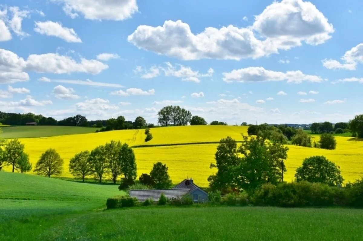    В Тульской области могут появиться новые правила разграничения СНТ