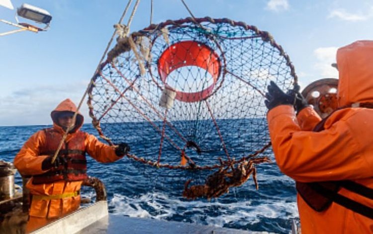    Фото: Минсельхоз РФ