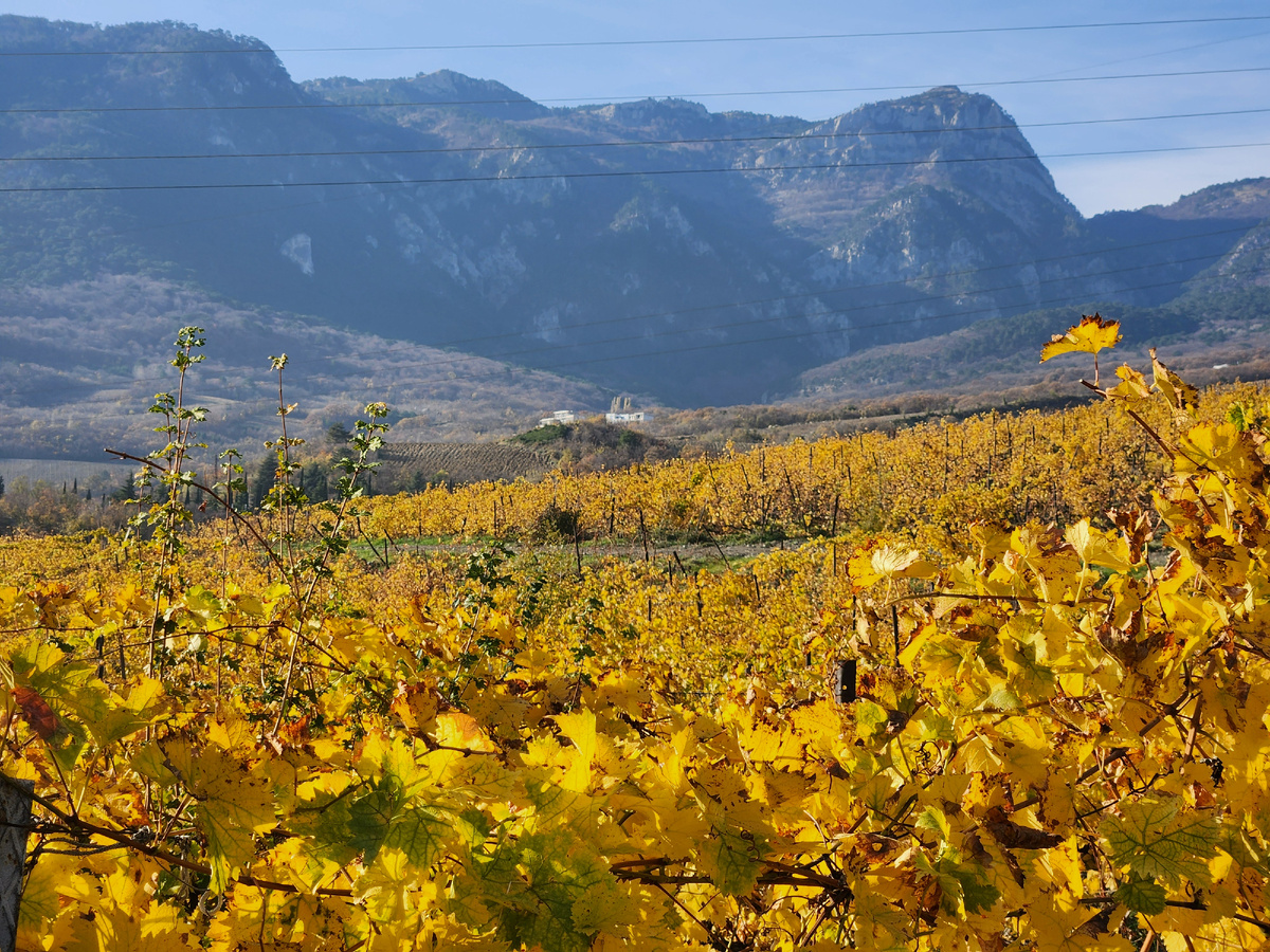 Это фото сделано в ноябре