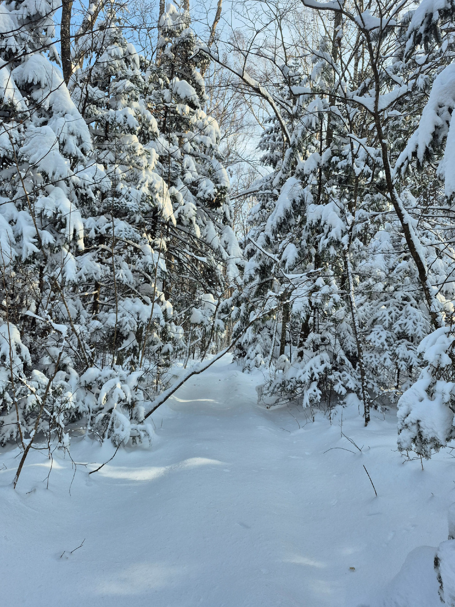 Видите тропу? А там снега по колено. 
