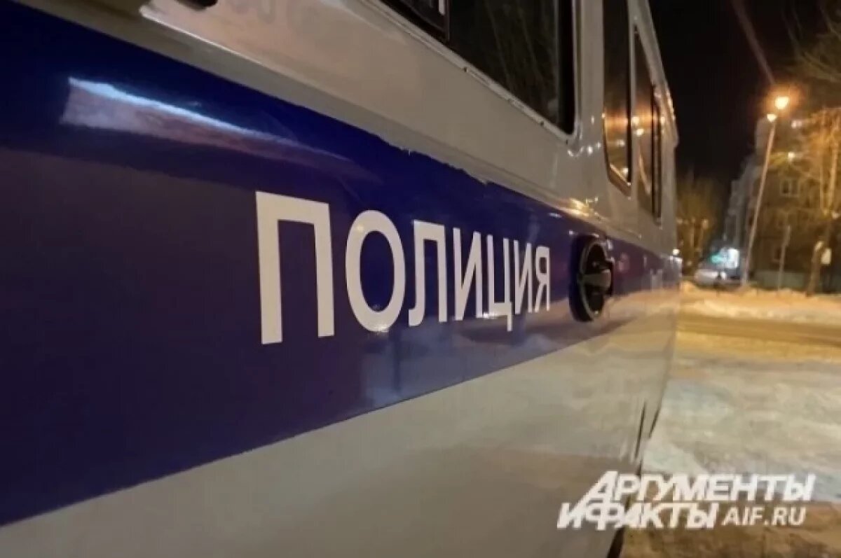    Снегоуборочная машина опрокинулась на трассе в Удмуртии