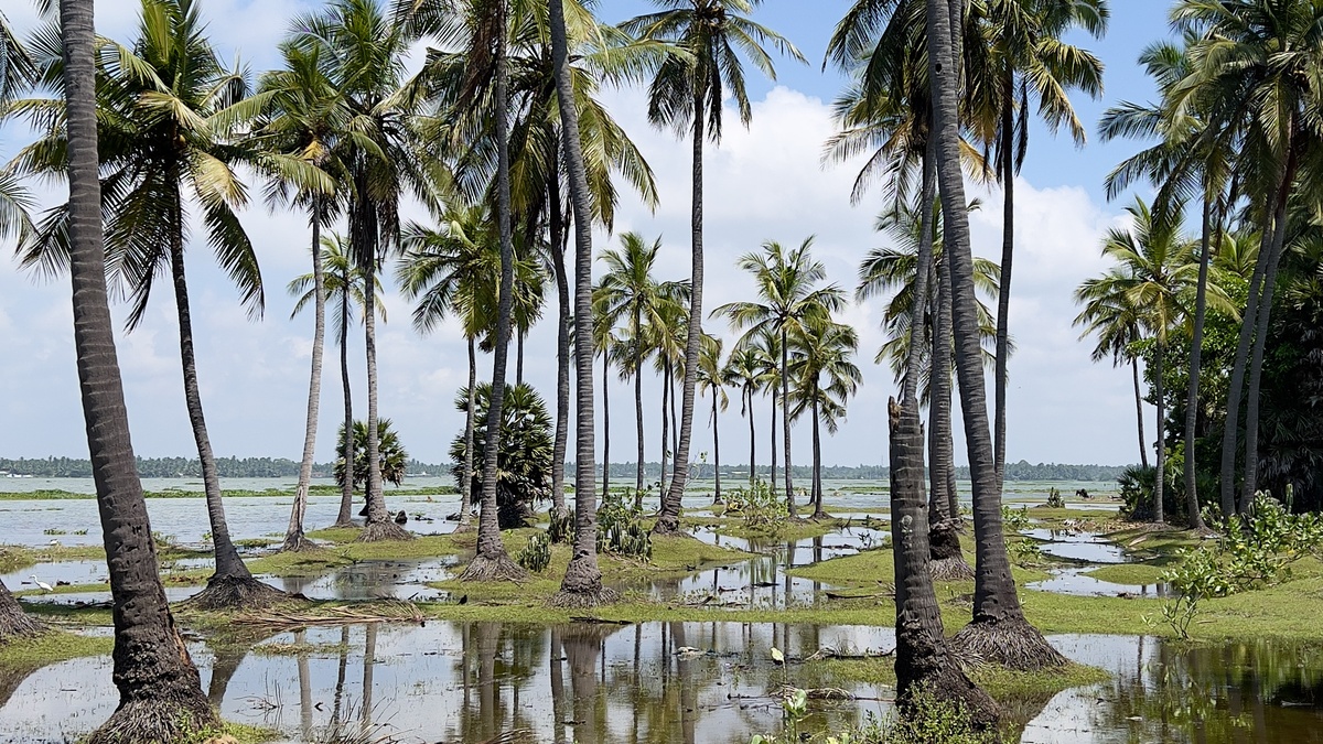 фотографии Шри-Ланки
