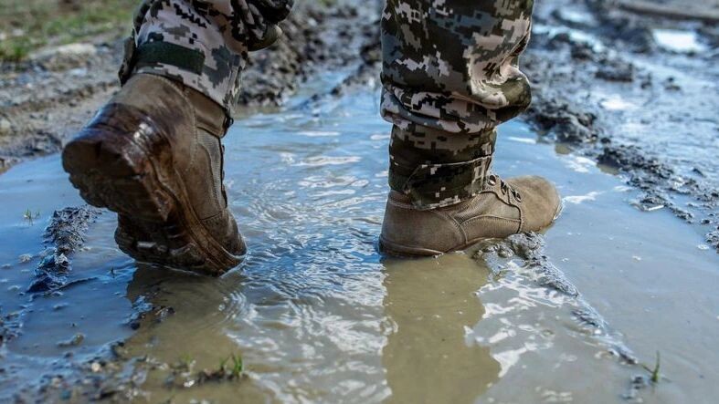    Фото: OlhaTsiplyar/Shutterstock/Fotodom