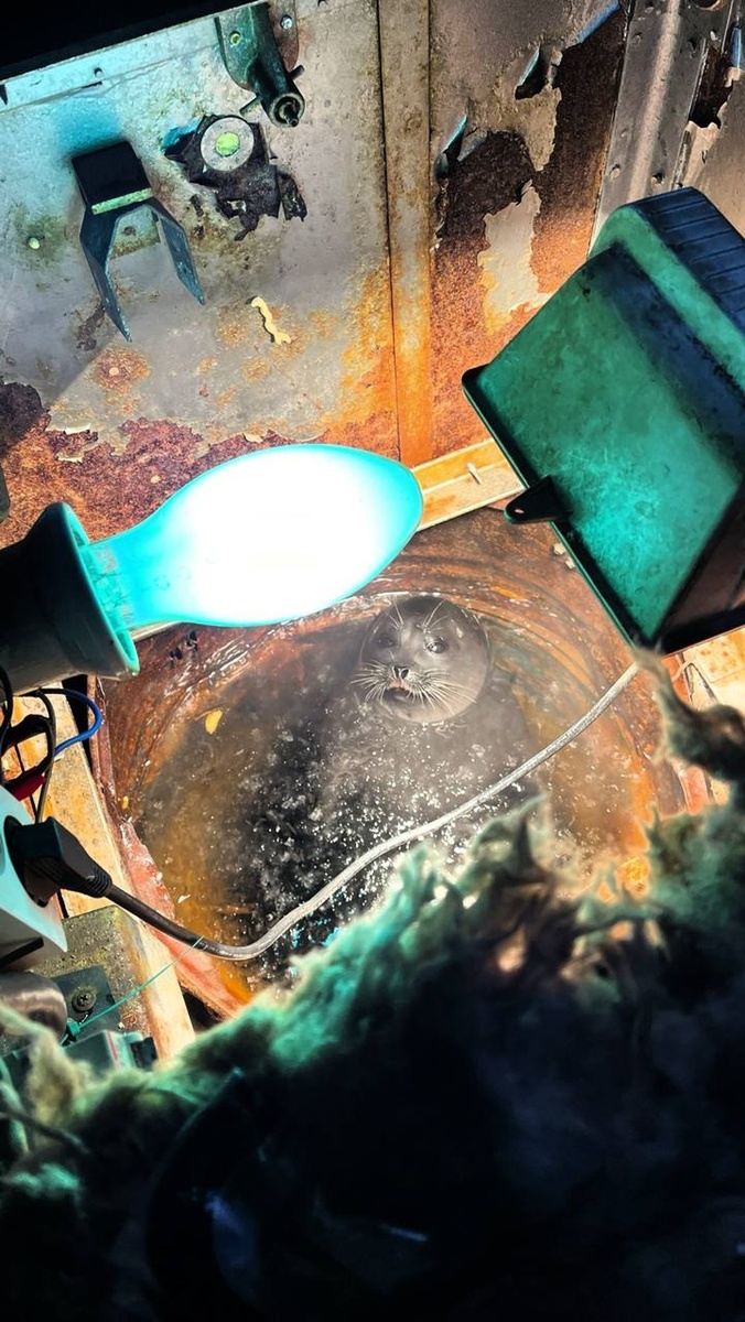    Фото: Александр Фанталов