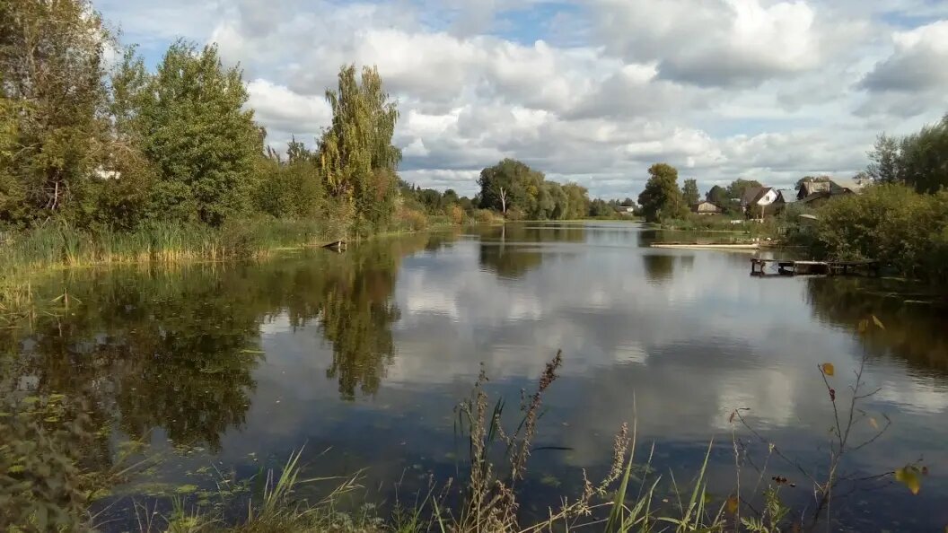    Фото: Царьград Новосибирск