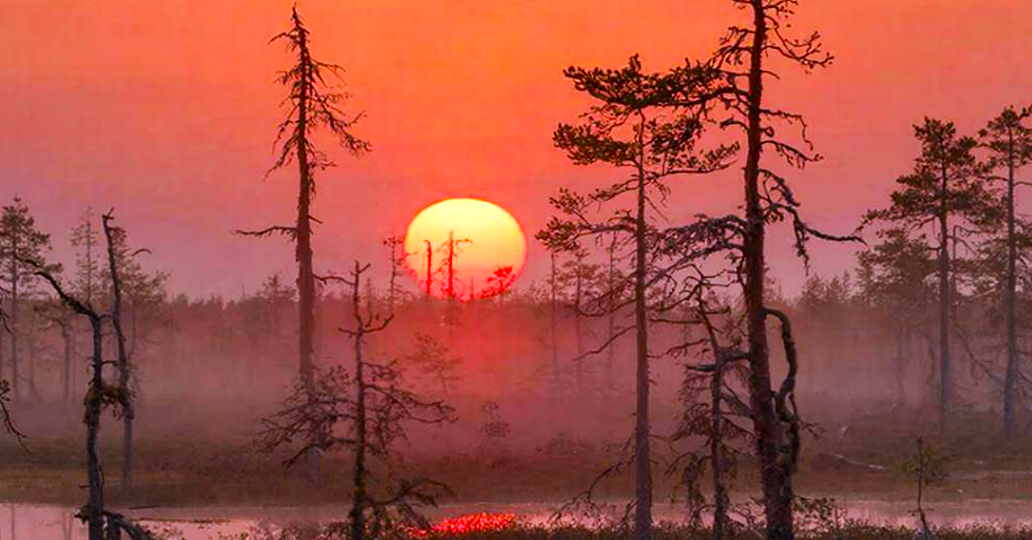 Тайны Васюганских болот и почему не надо туда ходить