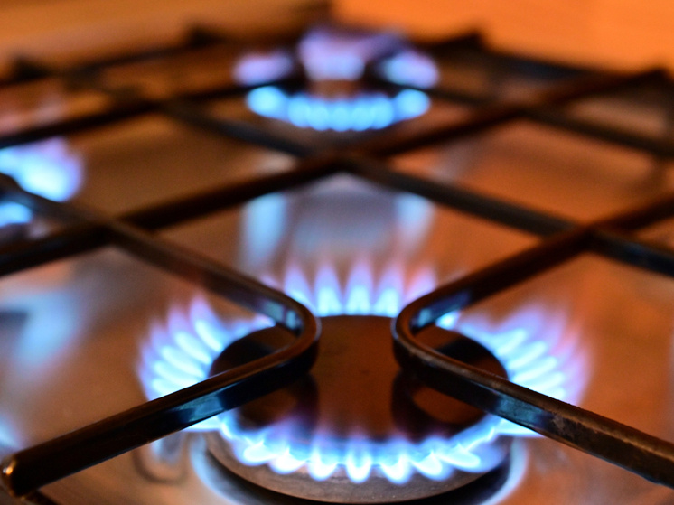     ФОТО: Vladimir Baranov / Globallook Press