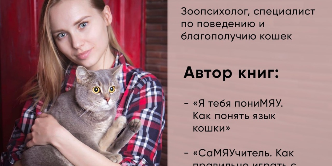 Вчера в комментариях под викториной на вопрос о мести кошек встретились разные мнения владельцев, и мы заметили, что некоторые все еще