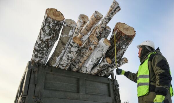 © Sputnik / Александр Кряжев