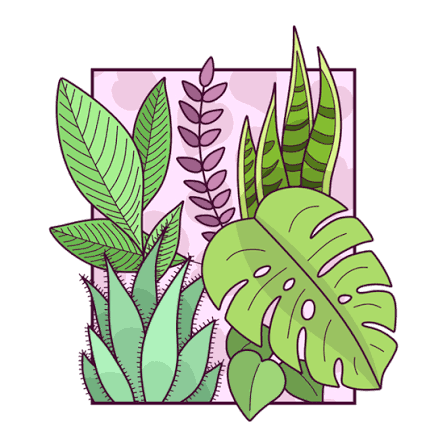 Фото из интернета.