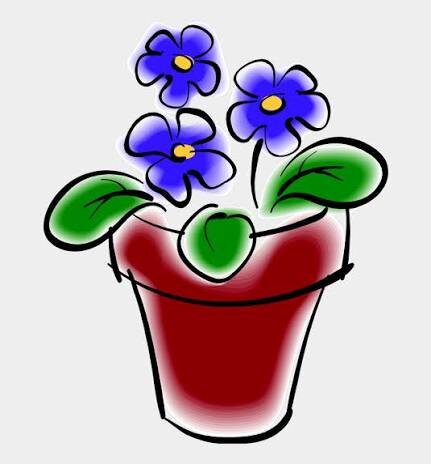 Напомнили мне фиалки в горшке. (Фото не мое)