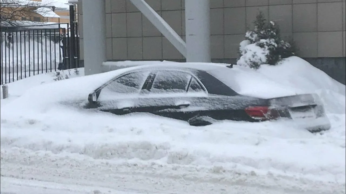 Фото взято из открытого источника