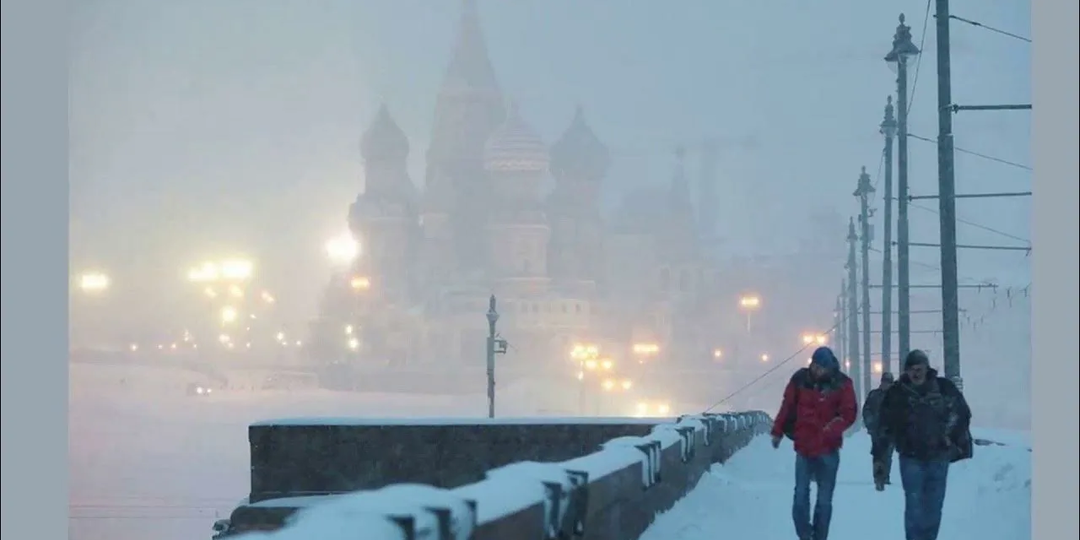 Москву опять снегом завалило. Что купили в ОЗОНе. И домашние дела никто не отменял.