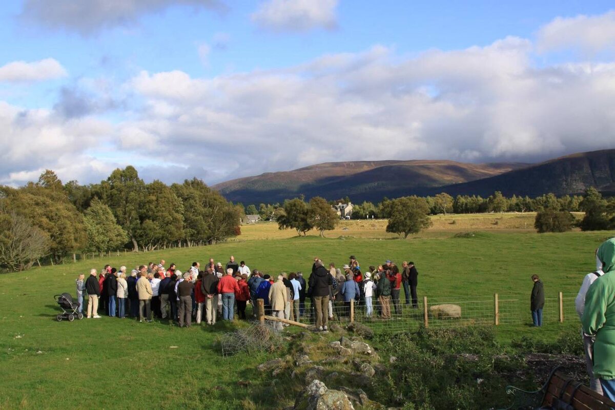 Несколько туристических автобусов приехали на шоу.