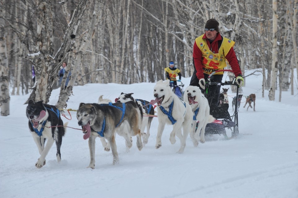    . Борис КОКУРИН