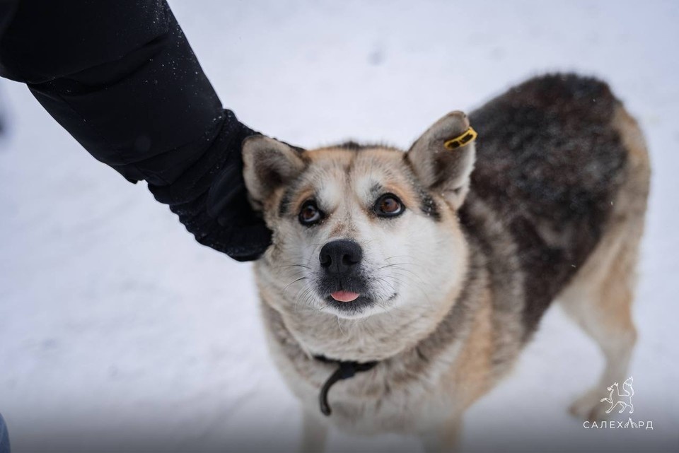    Фото: Алексей Титовский