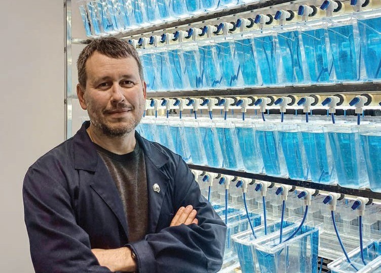 Маленькие, но удаленькие